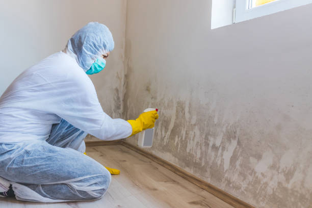 Hvac And Air Duct Mold Remediation inspection of HVAC system in Stony Brook